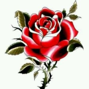 Meet your Posher, Debra